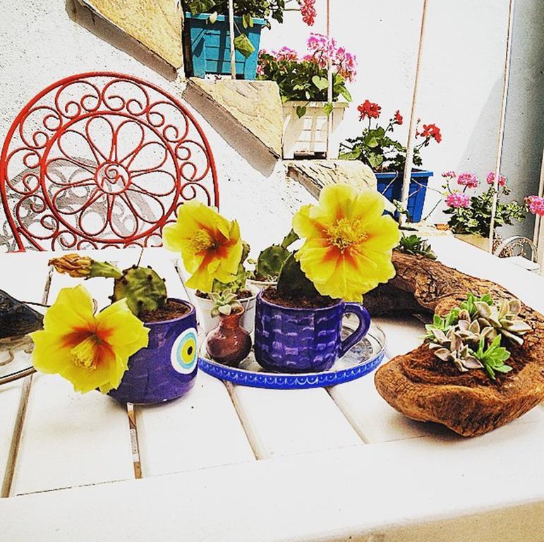 Akarsu Kalyopi Hotel Tenedos Buitenkant foto